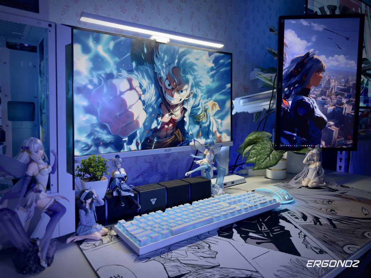 Dual monitor setup on ERGONOZ arm