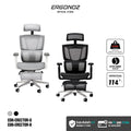 Ergonoz Erector Active Lumbar Ergonomic Chair