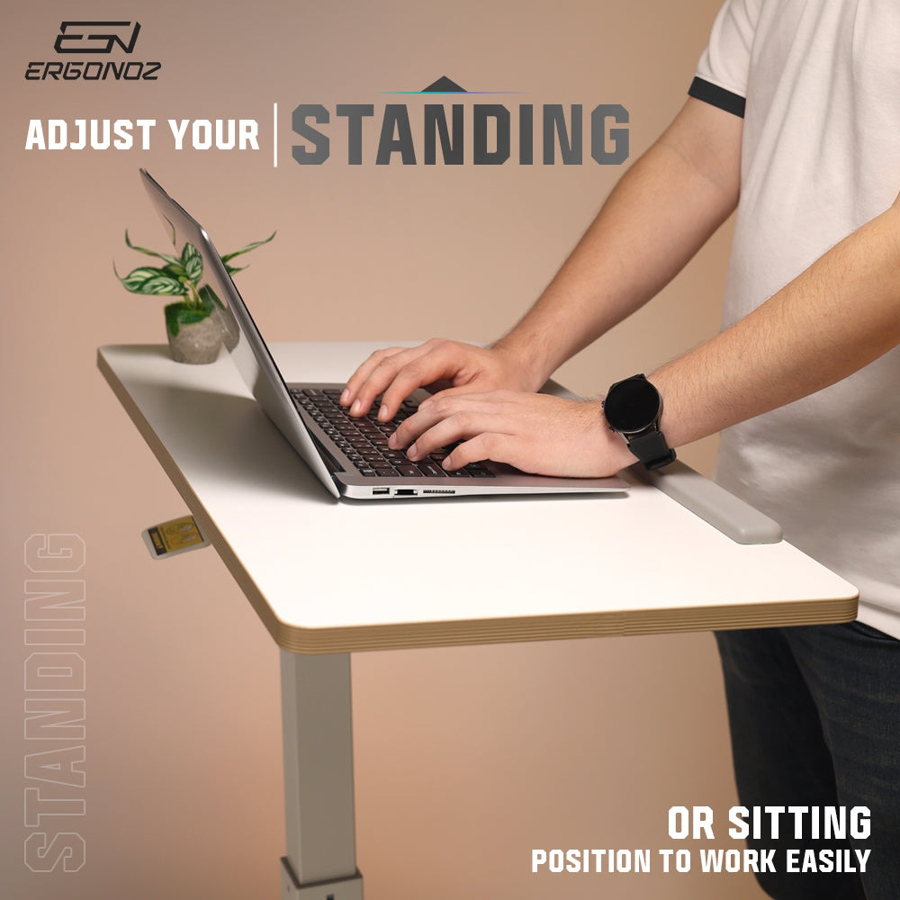 ERGONOZ Standing Laptop Desk