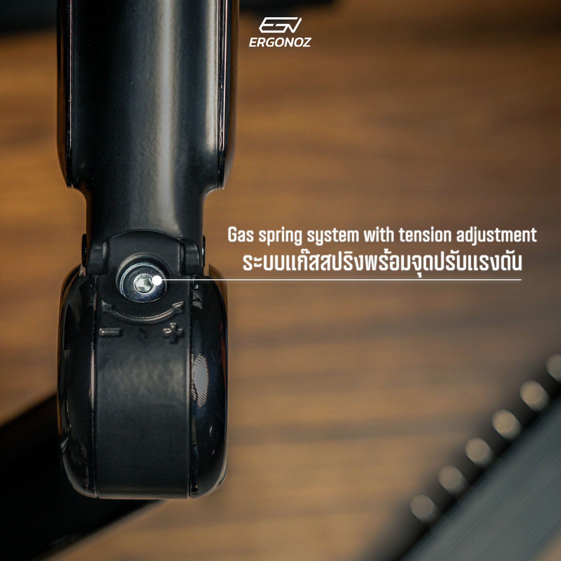 ERGONOZ Astro Twin Monitor Arm